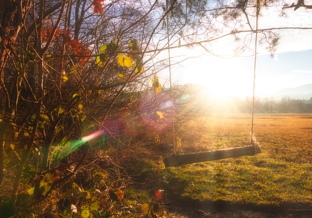 Brown trees with green leaves during daytime photo. Foto von Jan Huber (https://unsplash.com/@jan_huber) auf Unsplash (https://unsplash.com/photos/fqVRj5U9Vo8) Brown trees with green leaves during daytime photo. Foto von Jan Huber (https://unsplash.com/@jan_huber) auf Unsplash (https://unsplash.com/photos/fqVRj5U9Vo8)